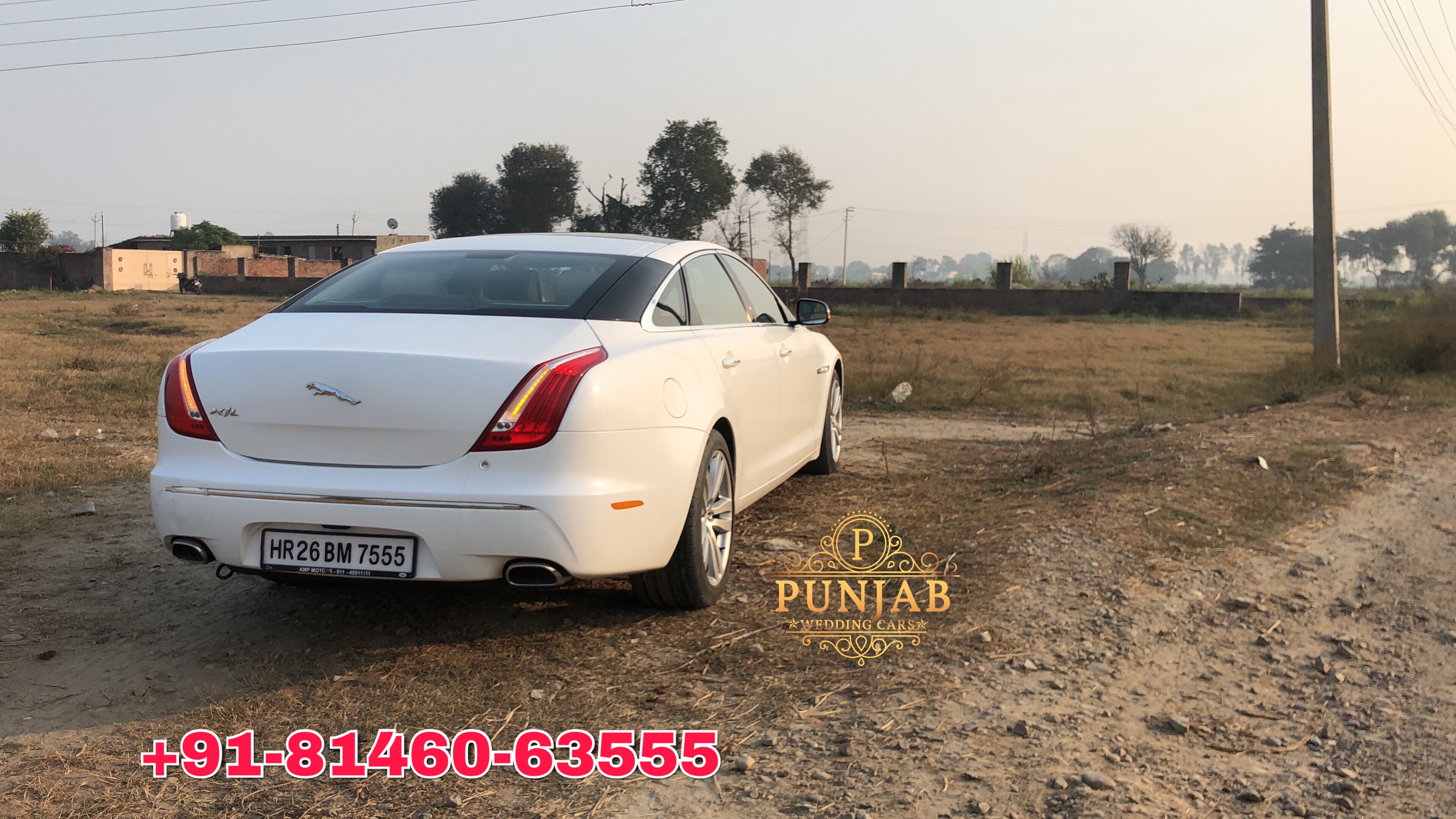 JAGUAR XJ L White wedding car hire Punjab — Punjab Wedding Cars